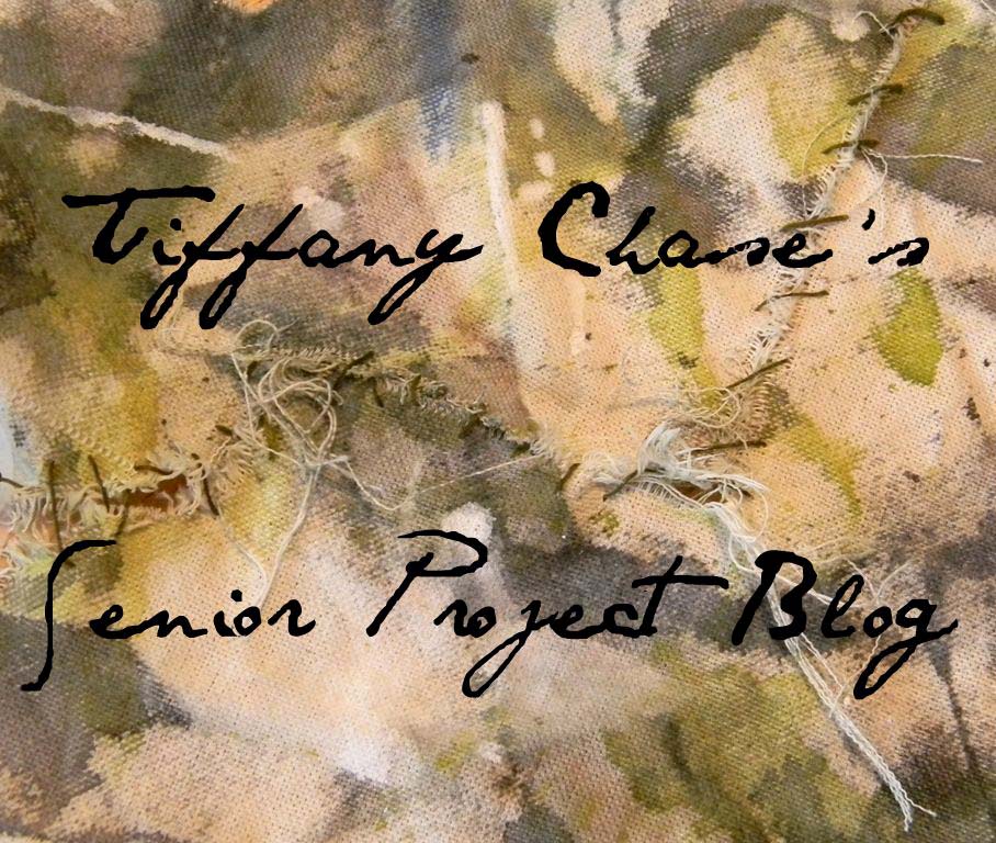 Tiffany Chase's Senior Project Blog