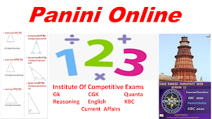 Panini Online