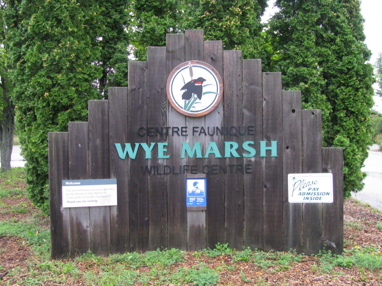 wye marsh