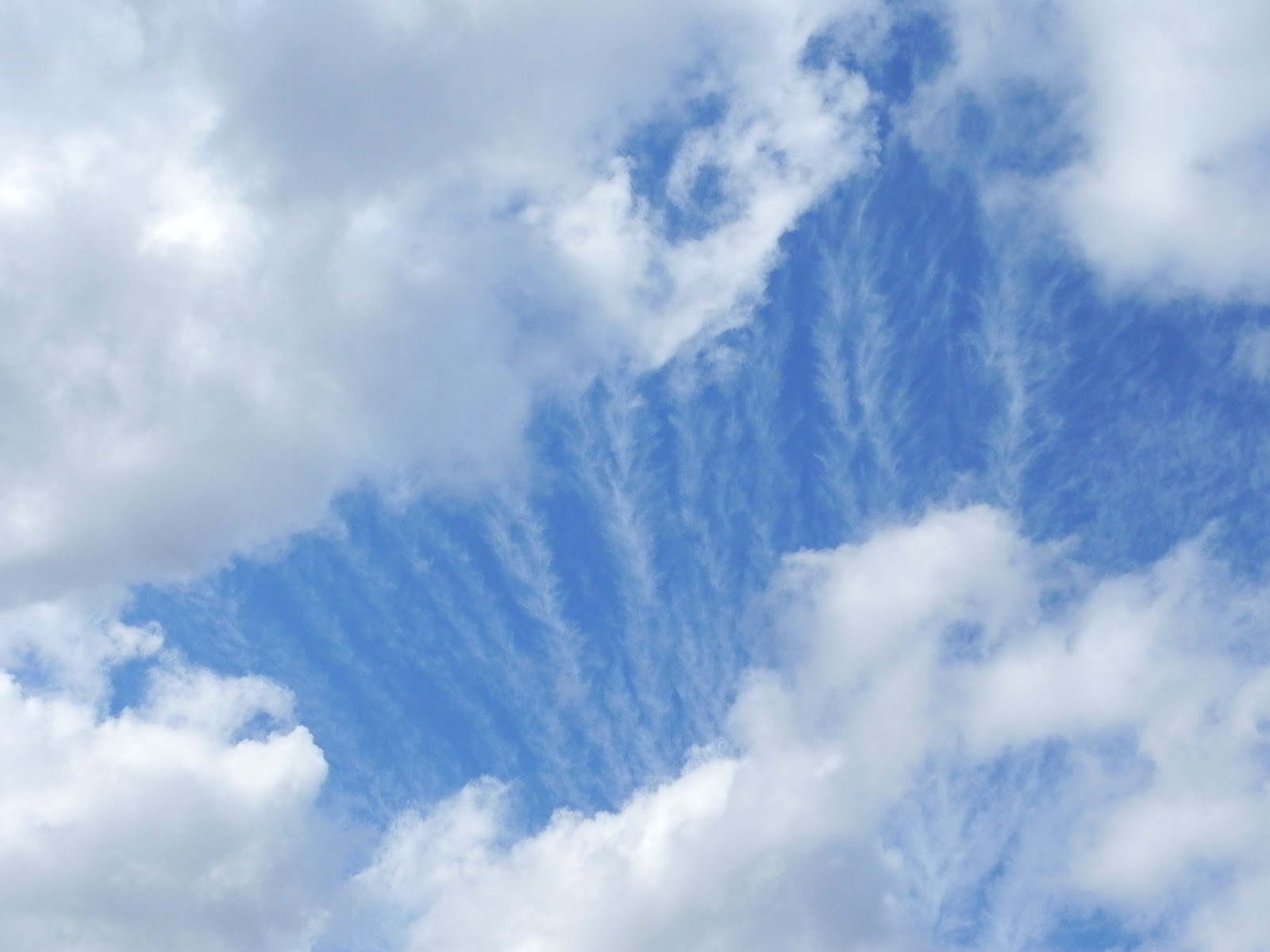 Postcard Memories From Paulie Feather clouds.