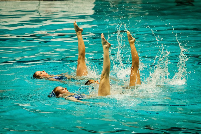 ANA Synchro Synchro Terminology Basic Moves