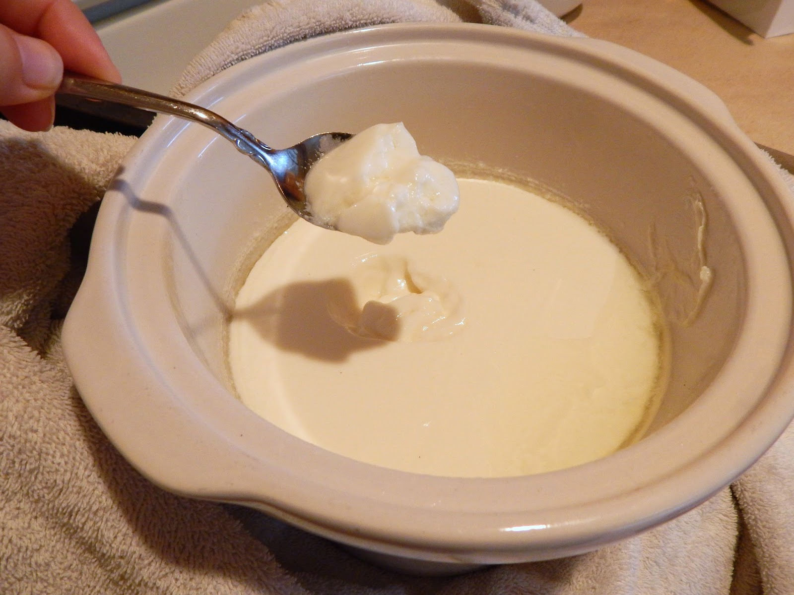 Homemade Yogurt in the Crock Pot (Slow Cooker) Proverbs 31 Woman