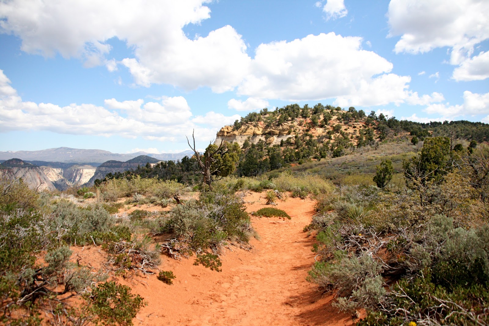 Finding the extraordinary in the ordinary Zion National Park how good