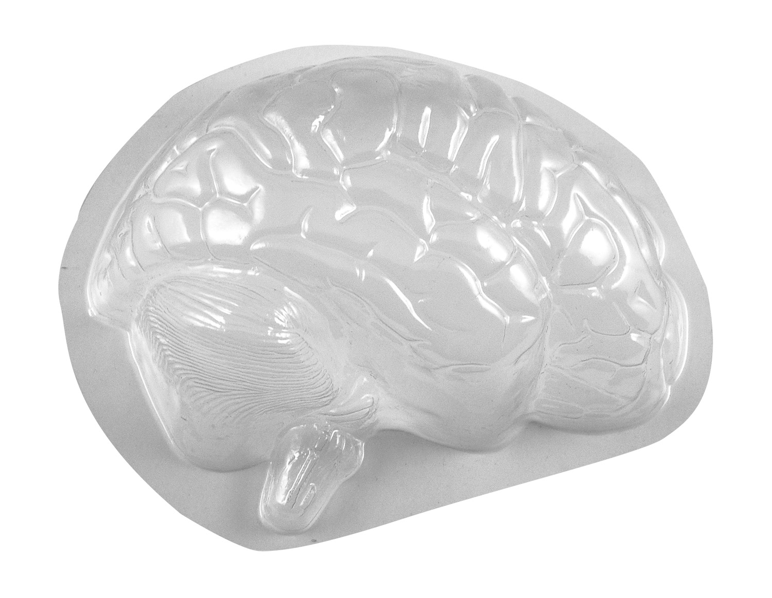 Brain Mold by Roylco Review