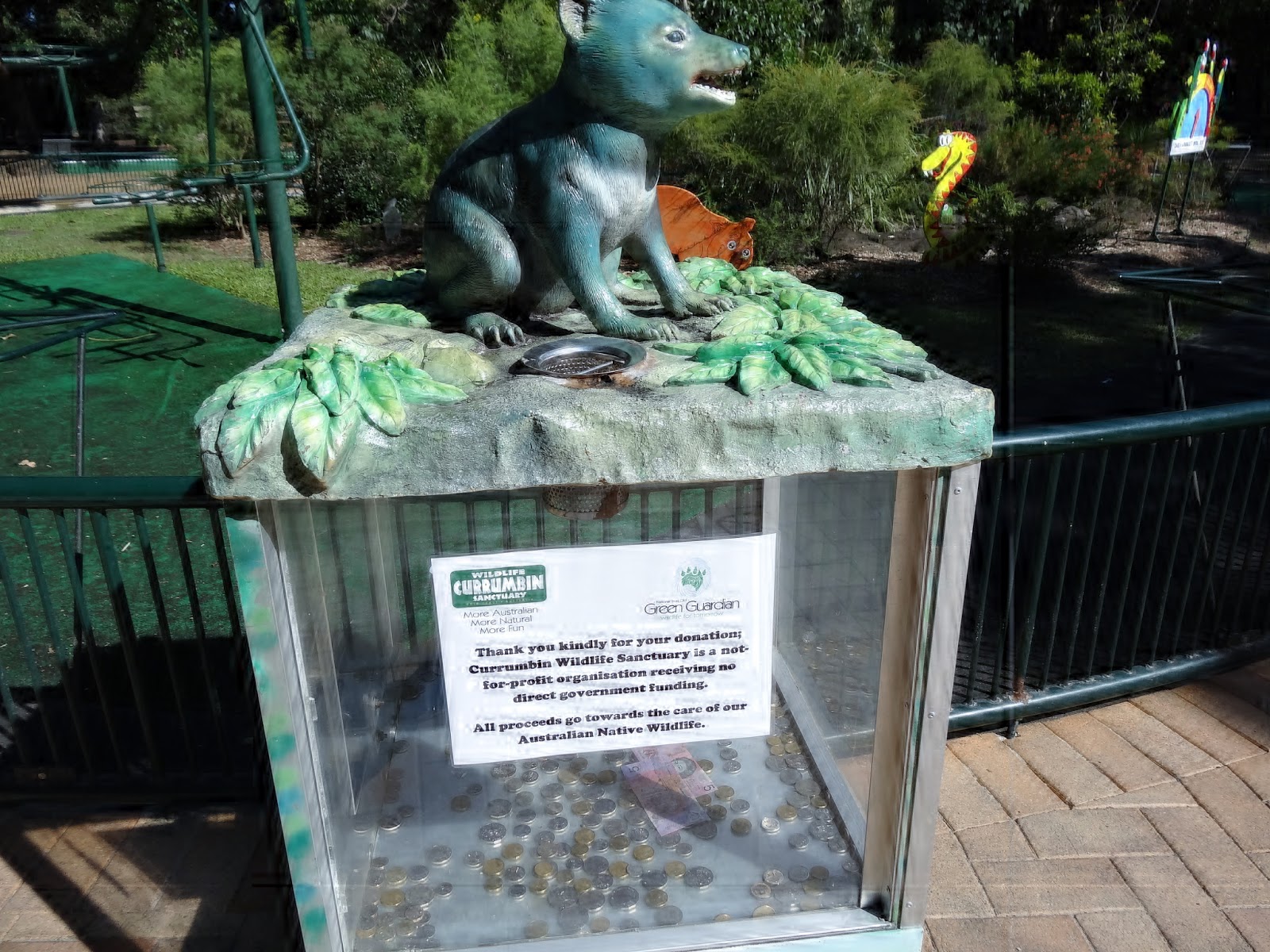 Stu the Zoo In Focus Tasmanian Devil