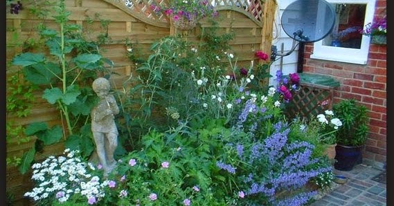 Home and Garden Ideas: Tiny Garden Design