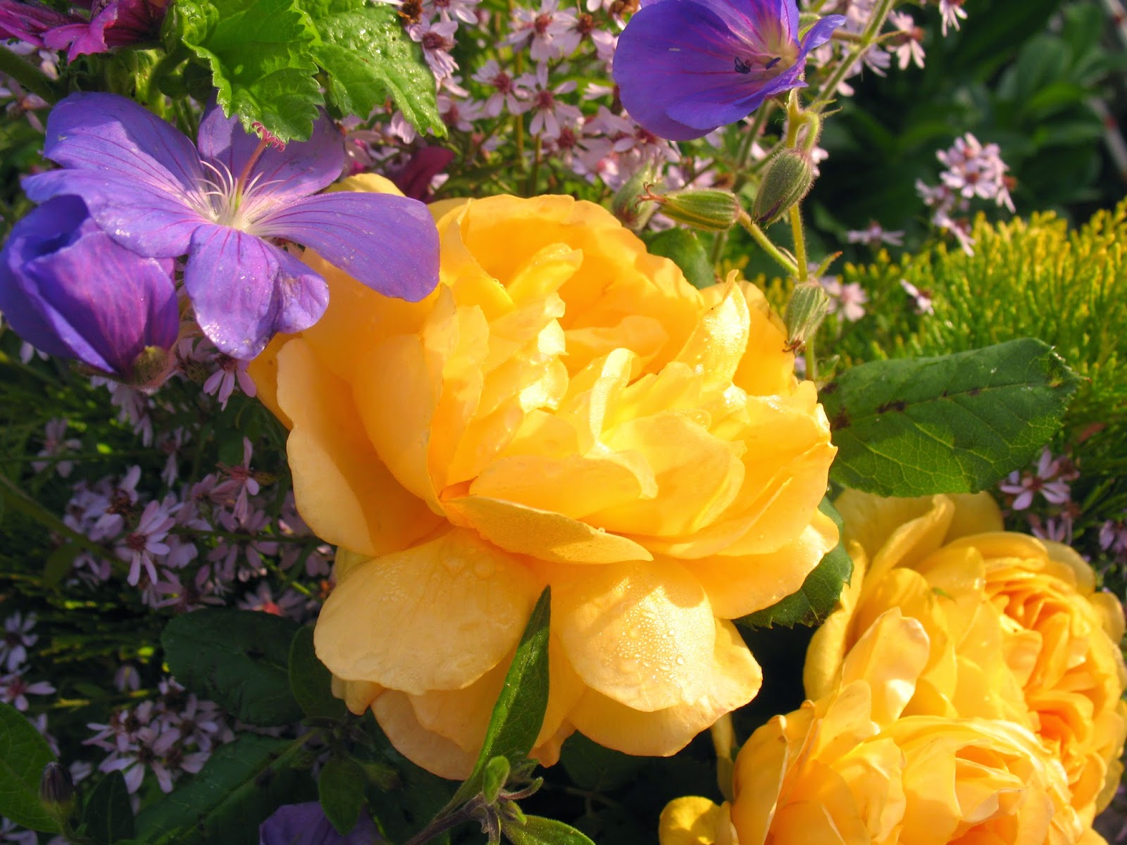 Patrick Chetboun Monique Lowy Bouquet De Fleurs Des Bois Et Des