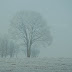 Warmia. Pejzaż horyzontalny