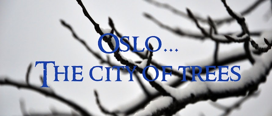 Oslo - the city of trees