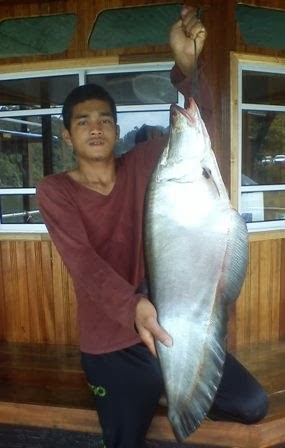 Big Fish II