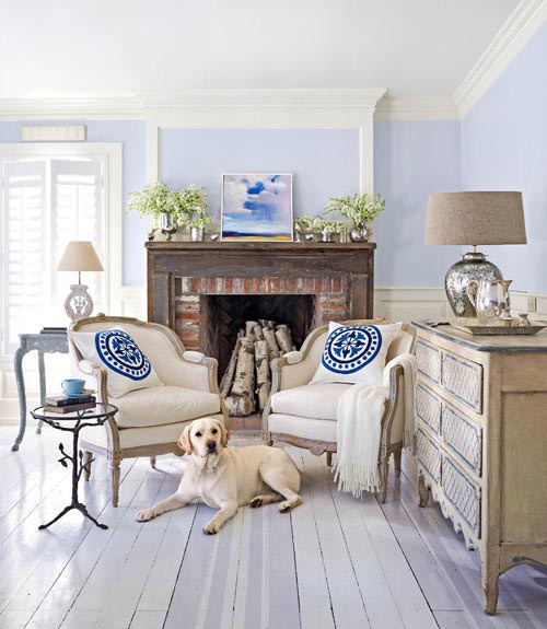 loft & cottage a dog in the house