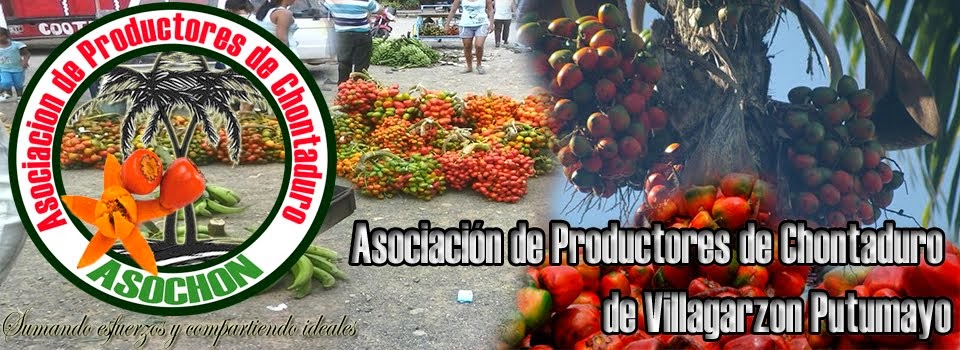 Asociación de Productores de Chontaduro de Villagarzon Putumayo