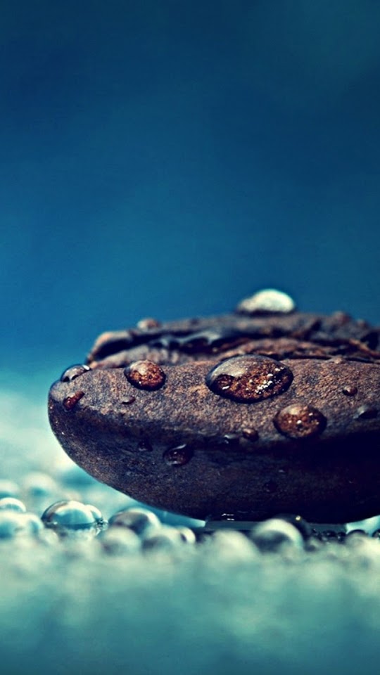 Coffee Beans Water Drops Close Up  Android Best Wallpaper