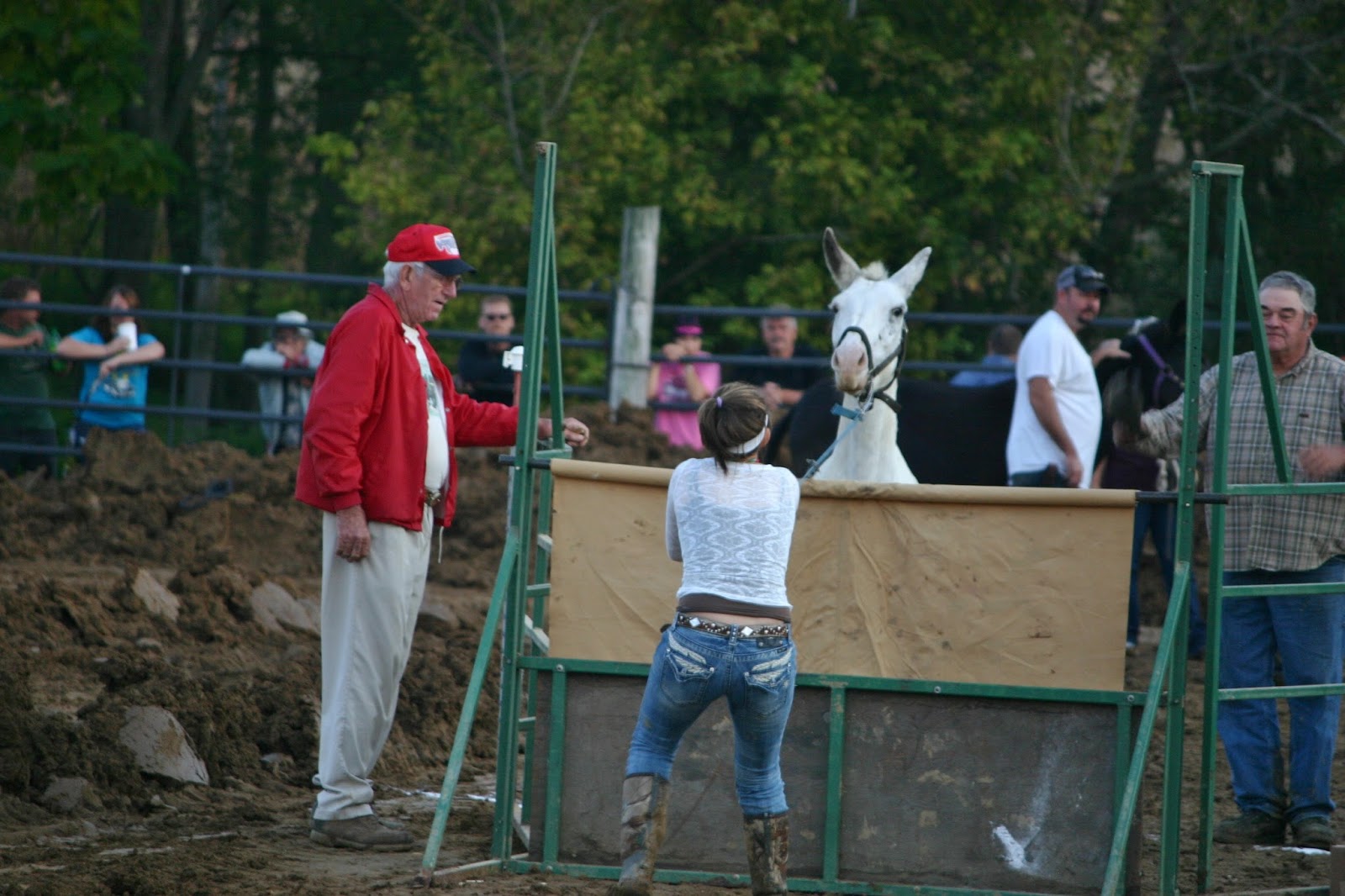 The Missouri Mom Behind my Lense at the East Perry Community Fair in Altenburg, Missouri