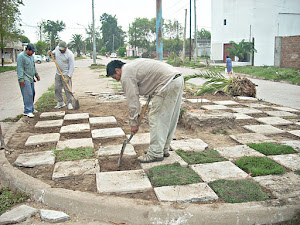 Tareas Diarias