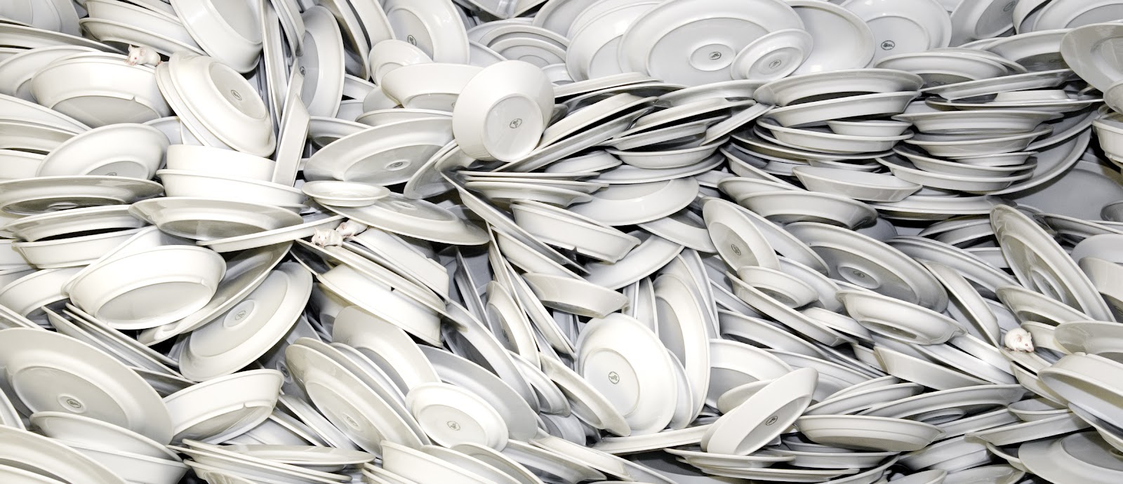 Gastronomista Ceramic Pressure