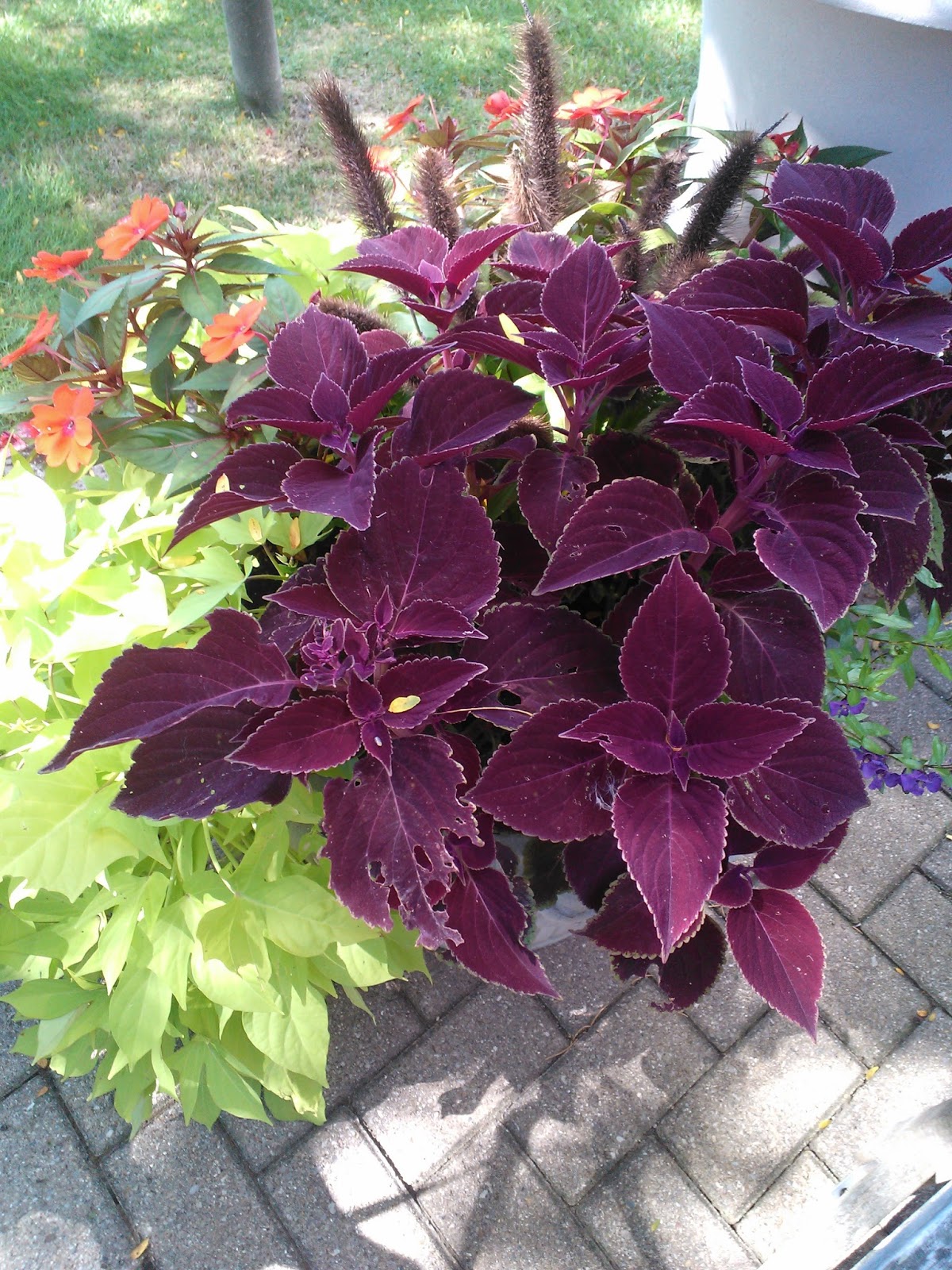 The Zumba Mommy The family visit Meijer Gardens