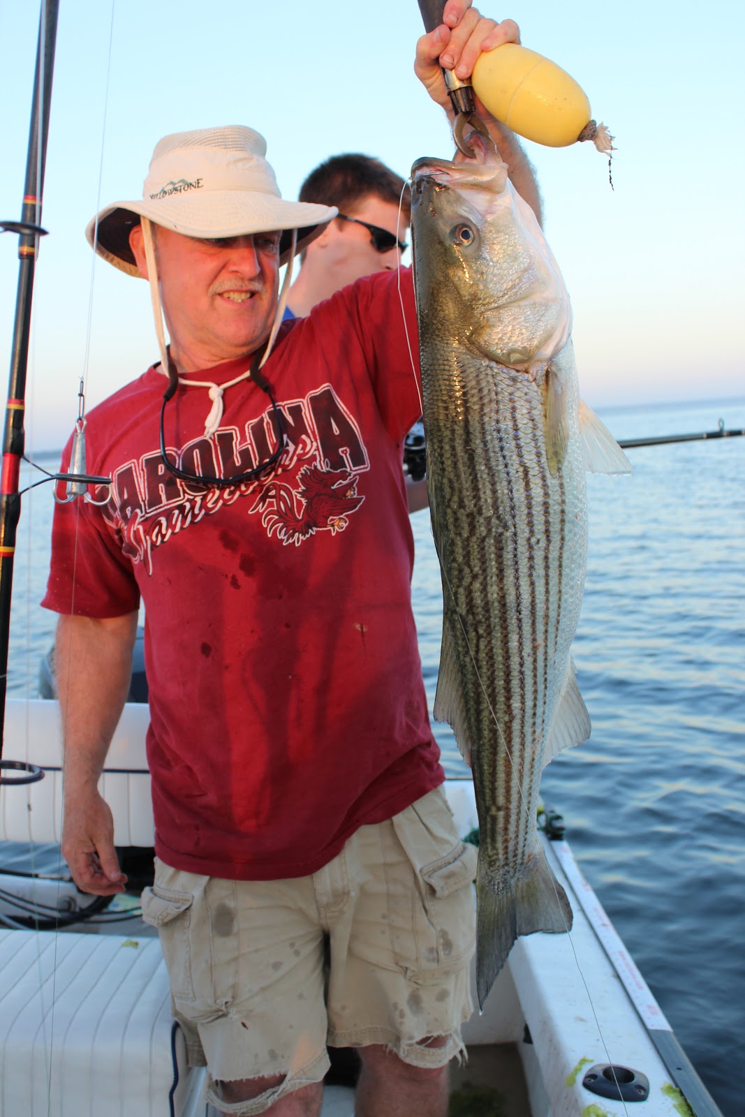 Rhode Island Striped Bass Key to Big Fish is Finding the Pogies