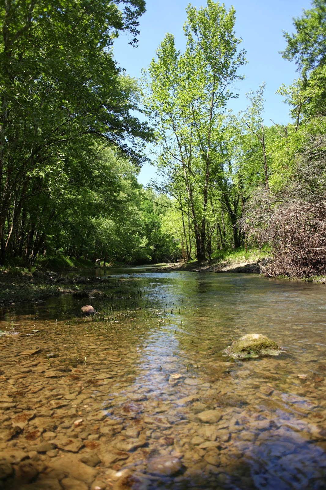 Discovering Jackson County Float the Paint Rock River
