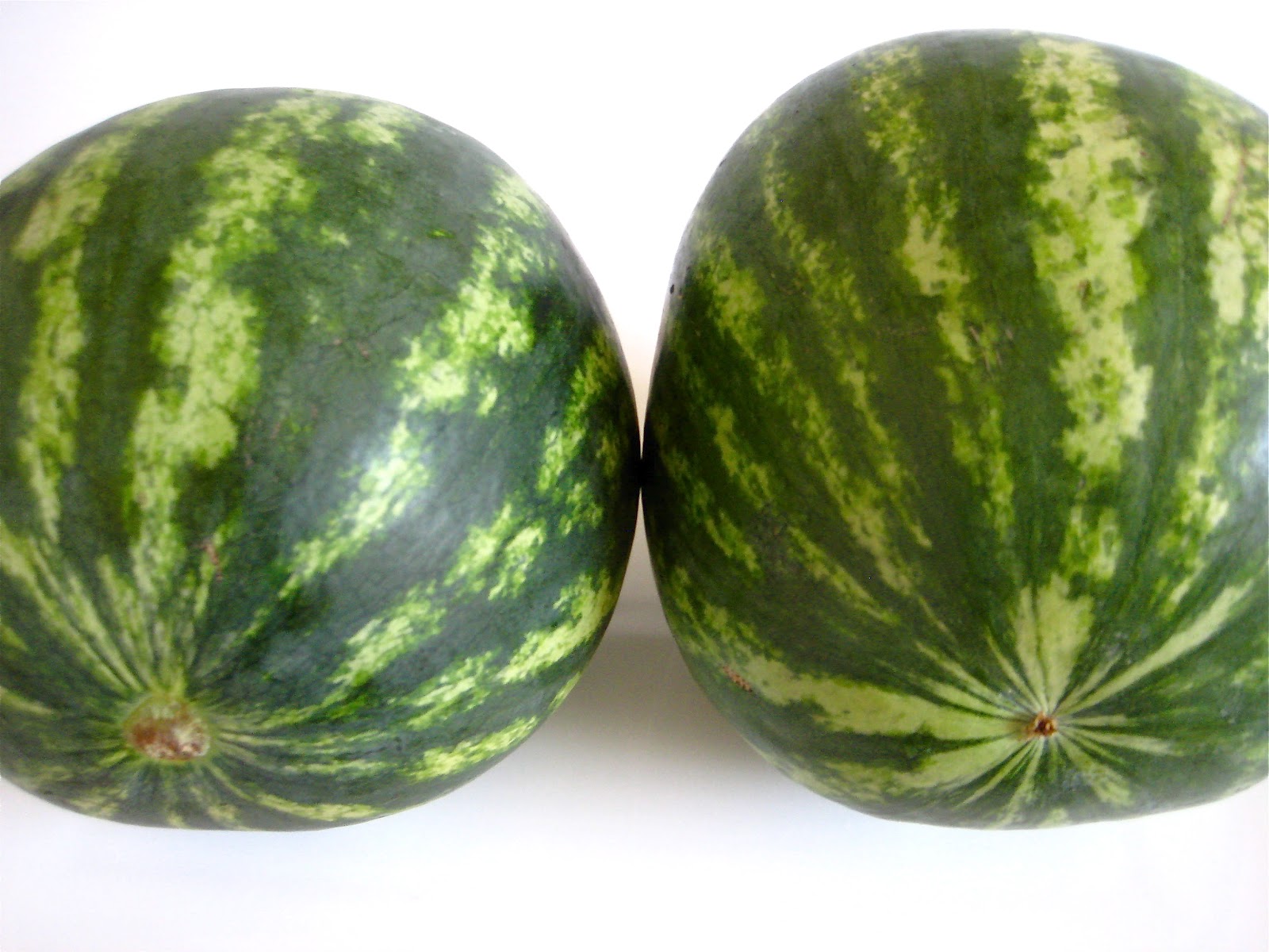 lisa b wellness Summer Fruit In Watermelon Sugar