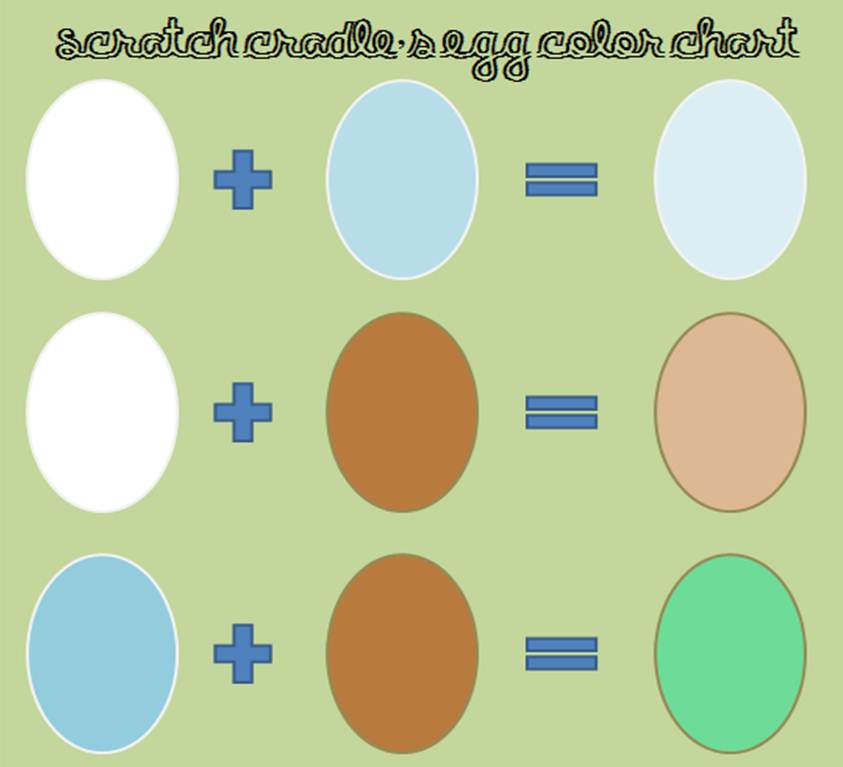 Chicken Color Genetics Chart