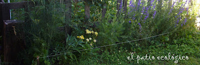 EL PATIO ECOLÓGICO: diciembre 2011