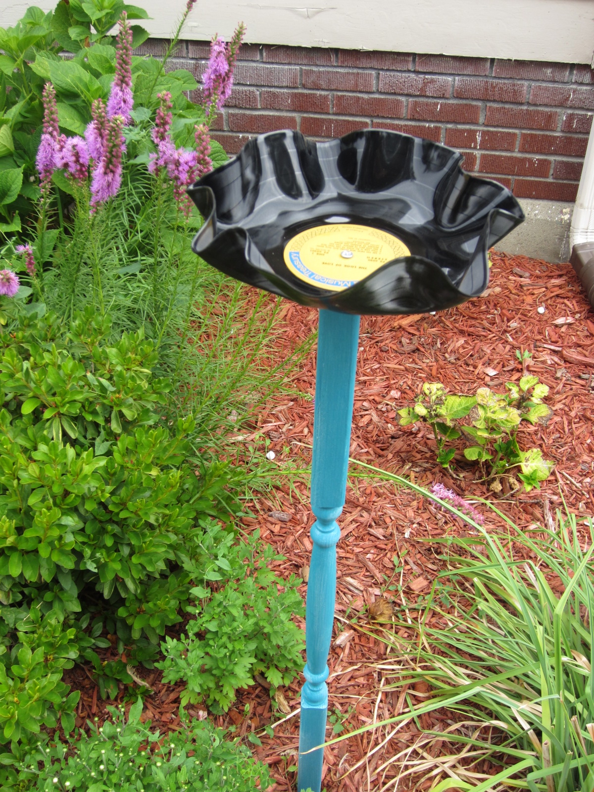 A blog about art, adventure, and life! Creative Bird Seed Holder