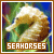 I like seahorses