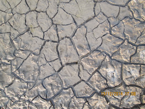 Topography of the desert ground of "Little Rann of Kutch".