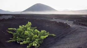 Click here to join britlestar_group