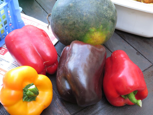  légumes bio d'un  producteur local sur le marché