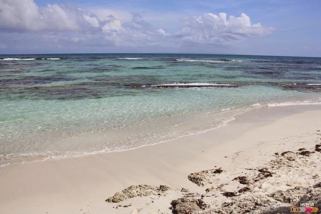 Plage de Bois Jolan à Sainte-Anne