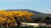 SERRA DO ELEFANTE.