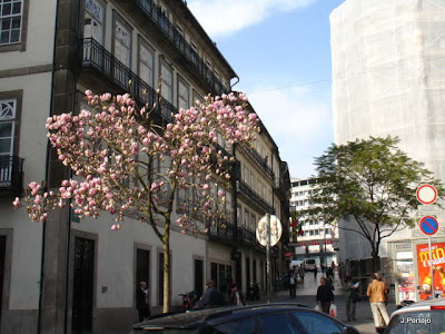 À descoberta do Porto! 1%2BDiversos%2B25.02.2011%2B027