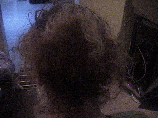 Tangled Hair Techs: REPAIRERS OF THE BREACH- THE ART OF ...