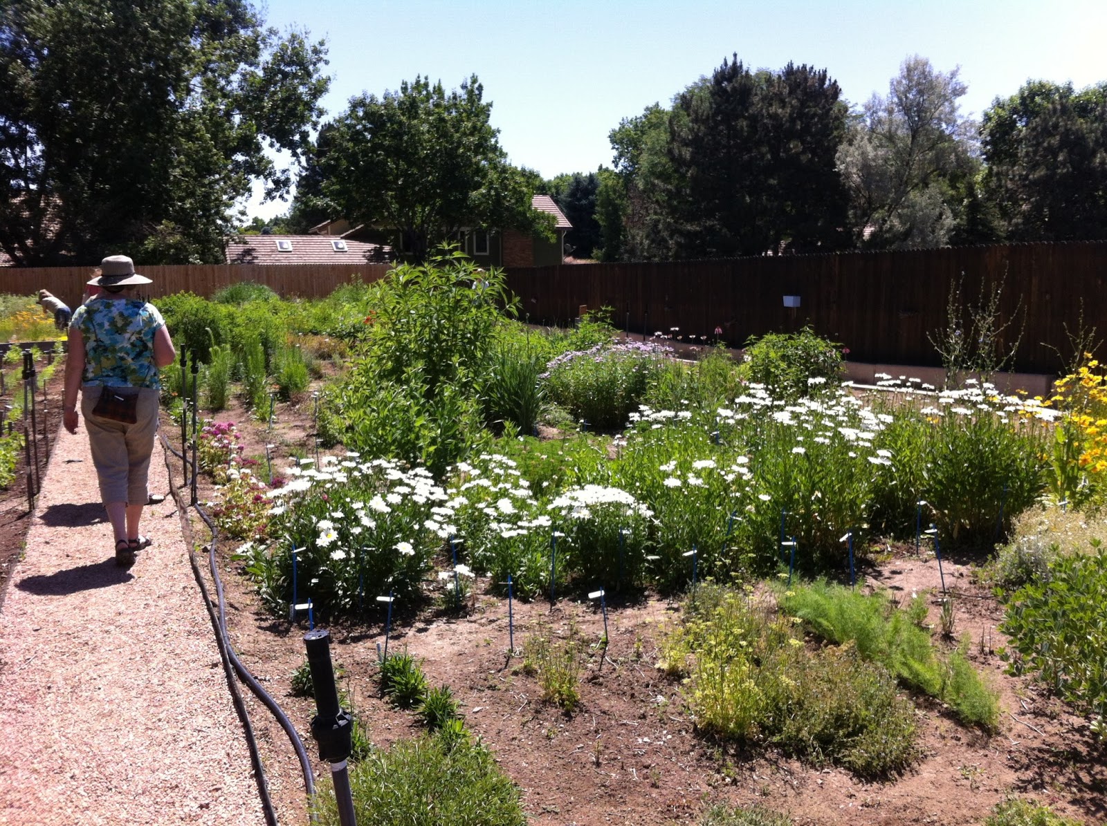 Colorado Mountain Gardener A Morning at Applewood Seed Company