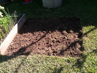 How To: Starting a Raised Vegetable Garden