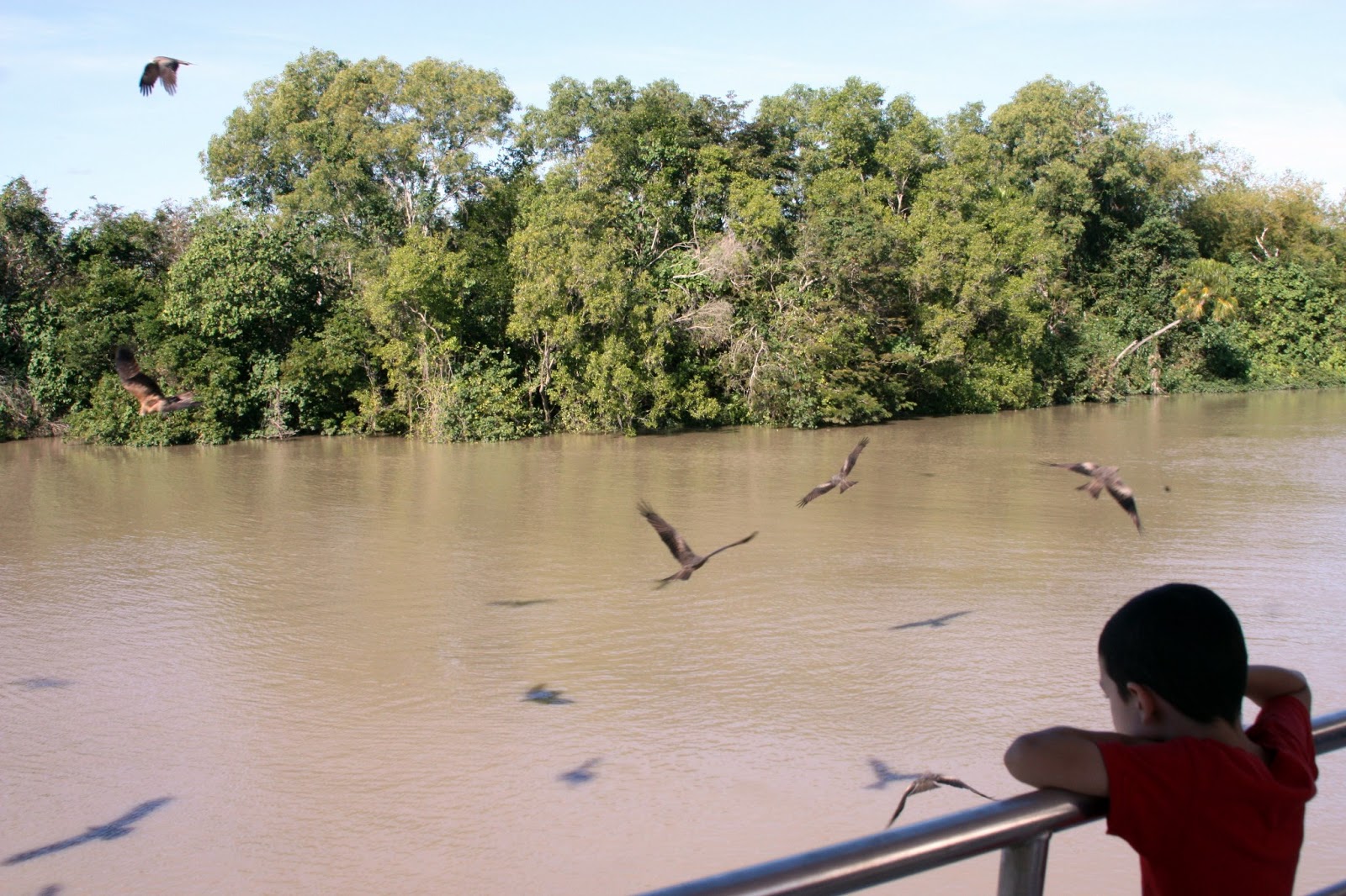 Be Thou Exalted Jumping Crocodile Cruise on the Adelaide River Queen