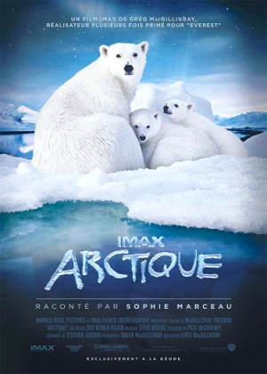 Đường Đến Bắc Cực - To The Arctic (2012) Vietsub 9+(300+x+420)