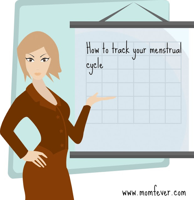 menstrual cycle