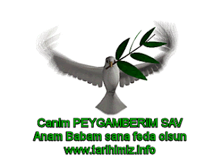 Peygamberler ve bütün târihi şahsiyetler arasında, şekil ve şemâili, en ufak husûsiyetlerine varıncaya kadar bilinen ve nesilden nesile naklolunan bir peygamber ve târihî şahsiyet varsa, o da ancak bizim Peygamberimiz Muhammed'ül Mustafa Sallallahü Aleyhi Vesellem'dir. WWW.TARIHIMIZ.INFO www.tarihimiz.info