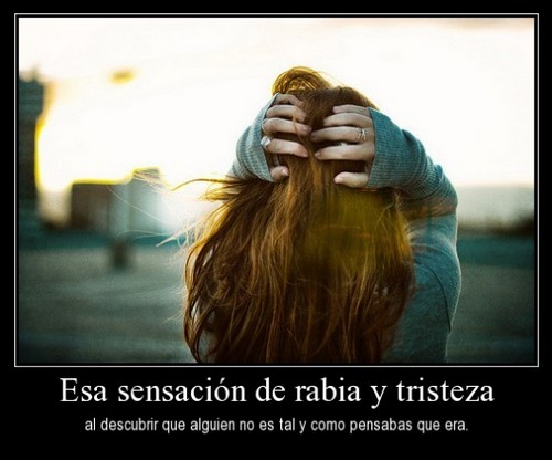 Imagenes Ironicas De Rabia | imagenes con frases de rabia imagenes para el pin de bbm Imagenes Ironicas De Rabia | imagenes con frases de rabia imagenes para el pin de bbm