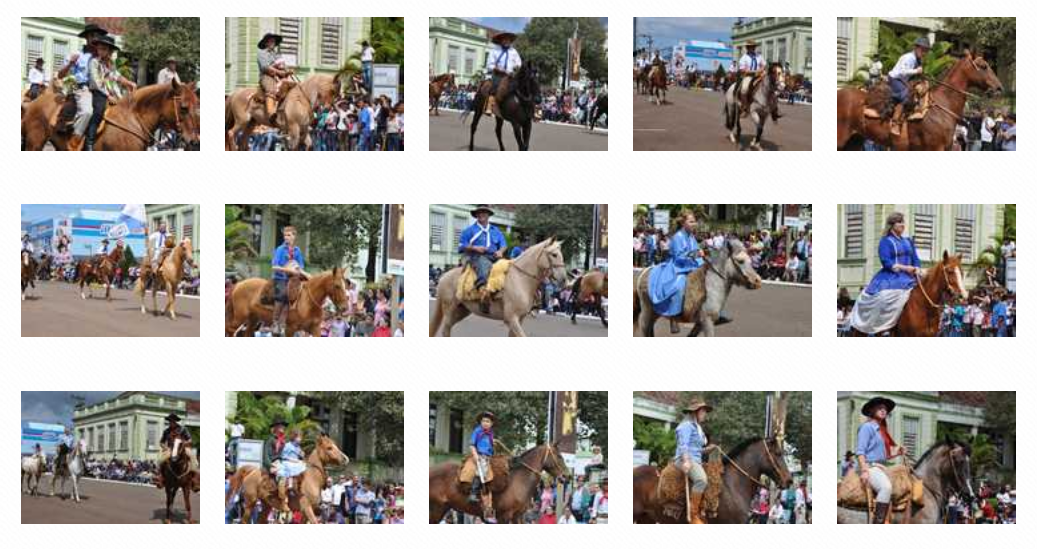 http://www.ijui.com/cultura/67459-orgulho-de-gaucho-retratado-no-desfile-farroupilha-em-ijui-veja-imagens.html