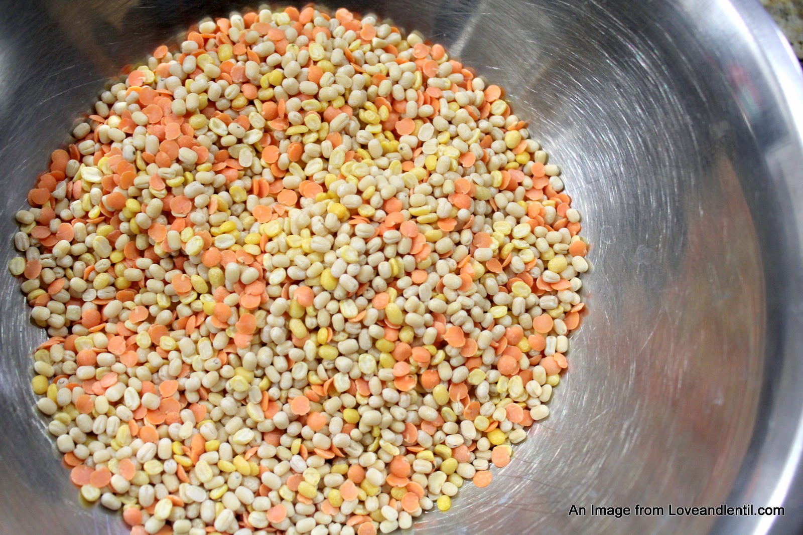 Love & Lentil Daal Kachori/Puri