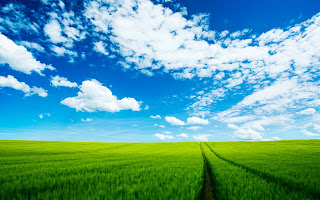 green cool fields pictures, free wallpapers