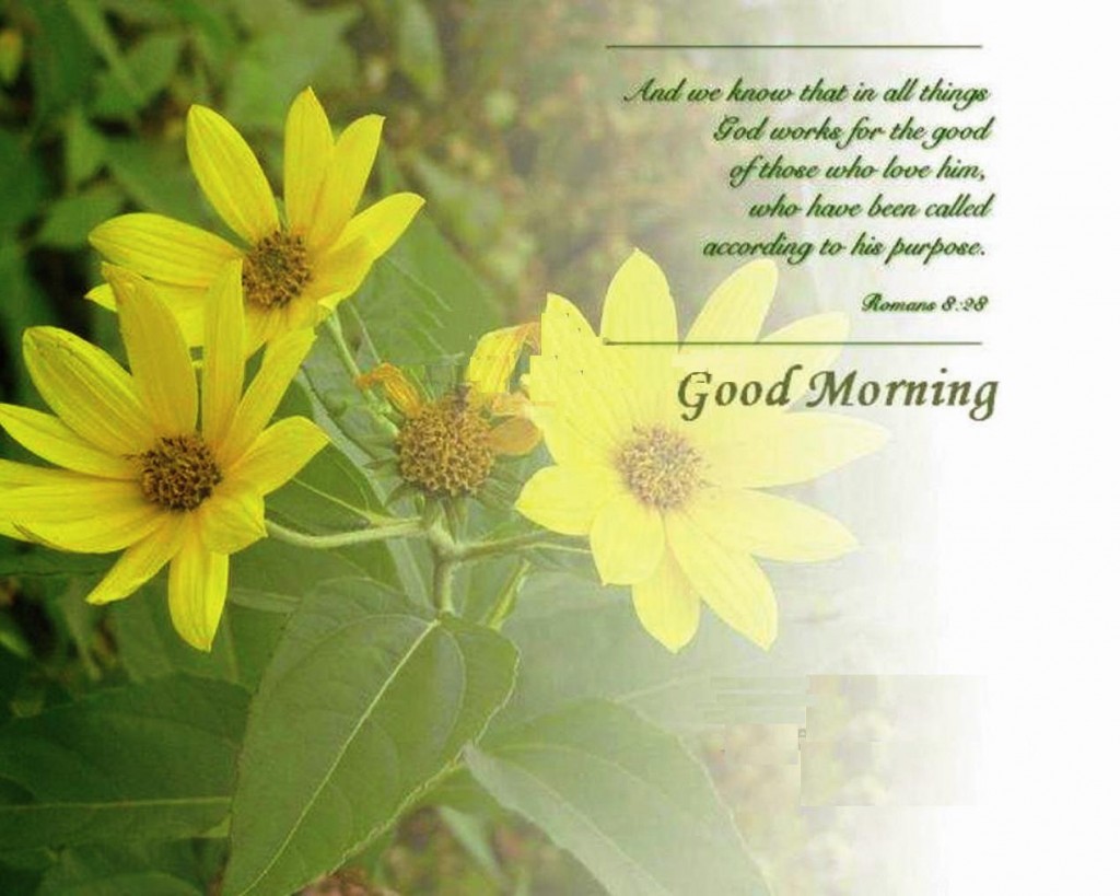 http://1.bp.blogspot.com/-KG5nPTIOPhQ/UB88g7VnYuI/AAAAAAAAAdM/h0NpPOxbG70/s1600/good-night2-1024x819.jpg
