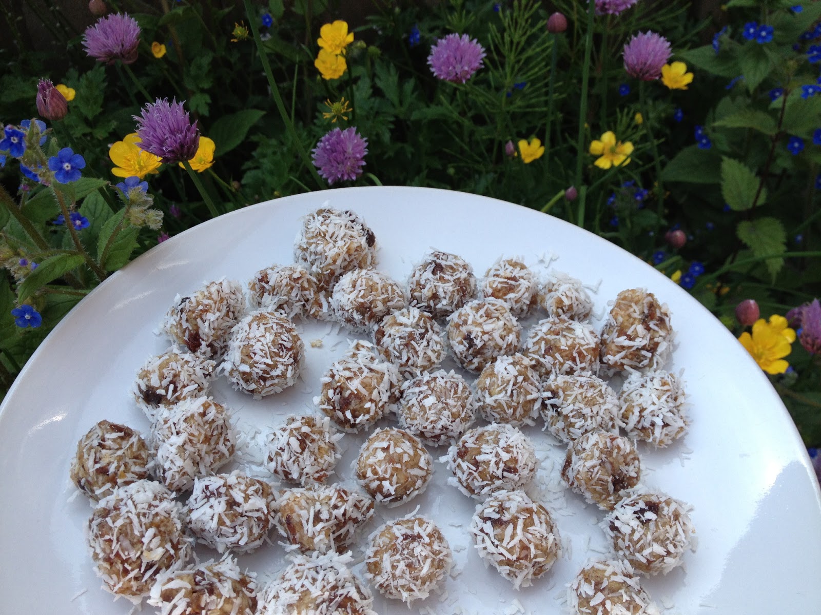Natural Vegan Eco Mom Vegan protein balls recipe raw foods toddler