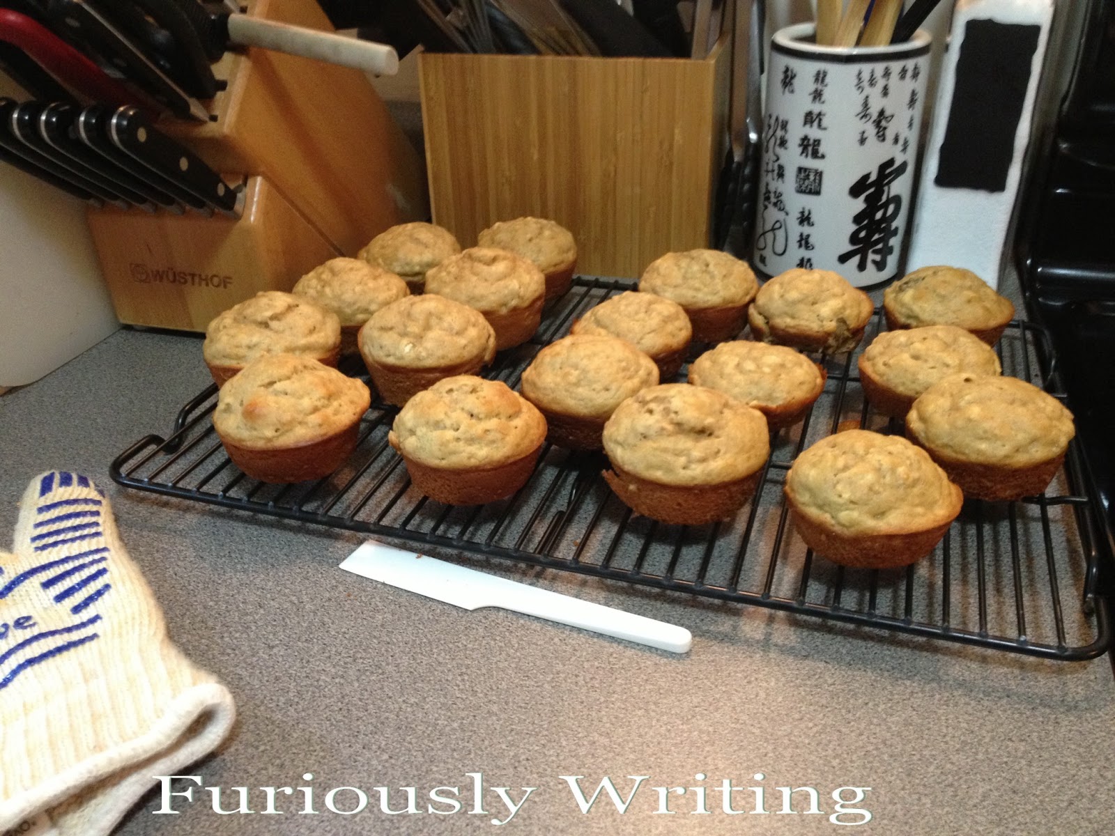 Furiously Writing Peanut Butter Banana Oatmeal Protein Muffins
