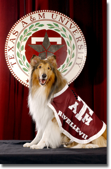 Tamu Mascot