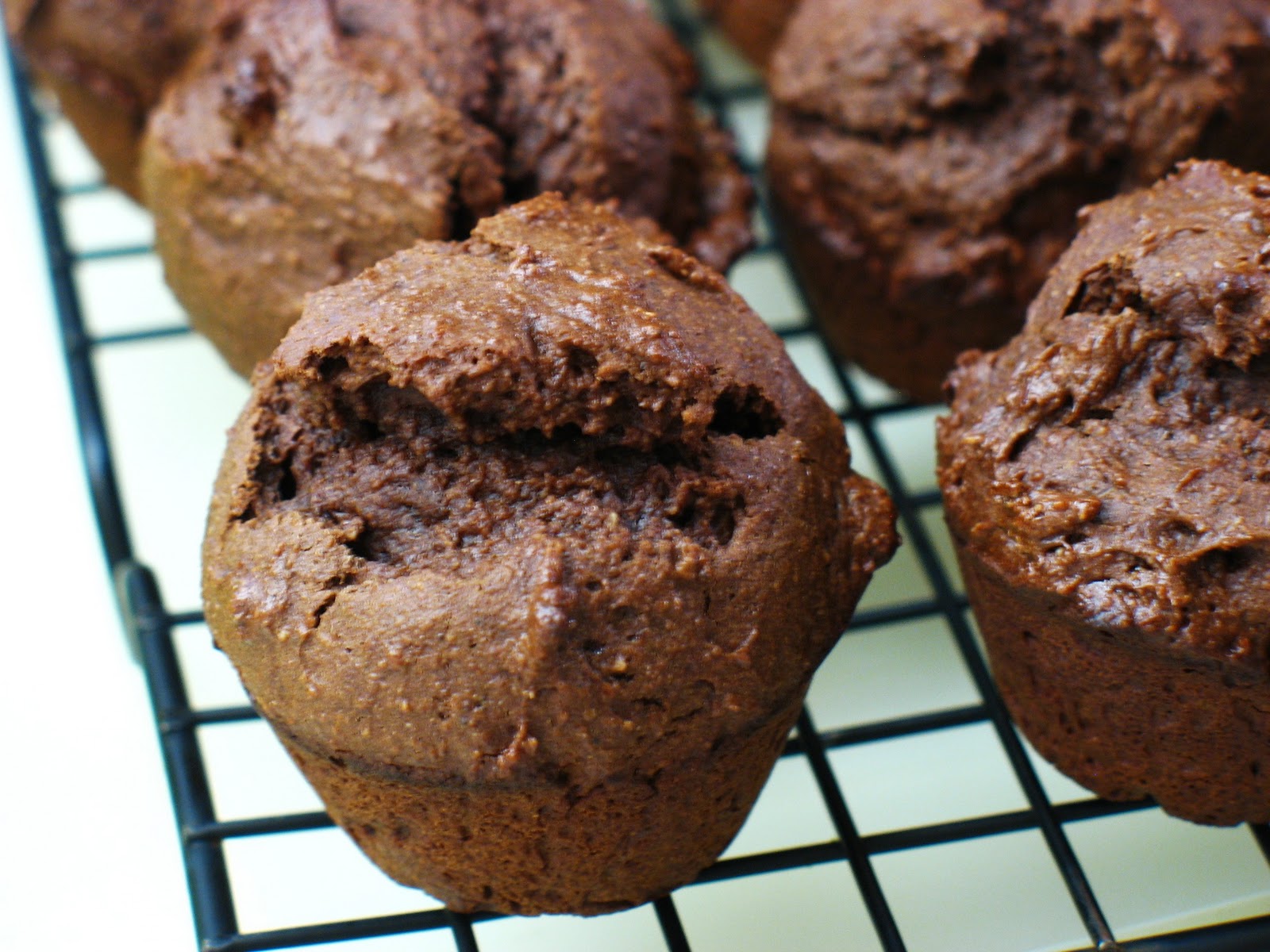 The Gluten Free Spouse Gluten Free Fiber Brownies